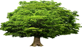 污水處理設(shè)備篇：一體化污水處理設(shè)備的優(yōu)勢和 一體化設(shè)備運(yùn)維及故障檢查
